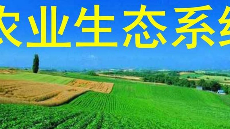 烟台农业合作社：合作共赢的现代农业新模式