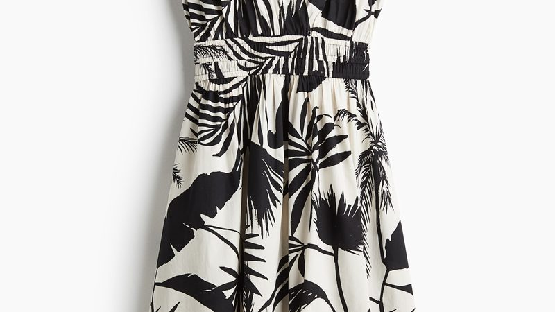 校园蔬菜配送服务流程解析**