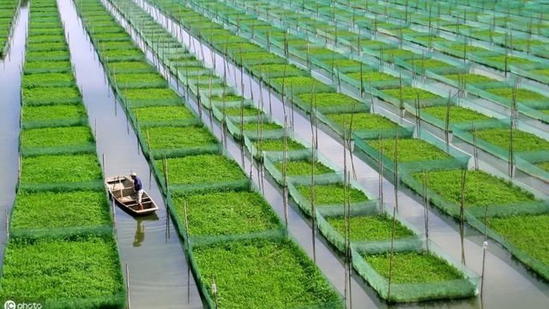 以下是一些在农业合作社贷款方面表现较好的银行：