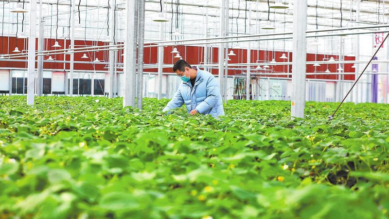 合作社农机补贴价格范围全解析：补贴政策与选购要点
