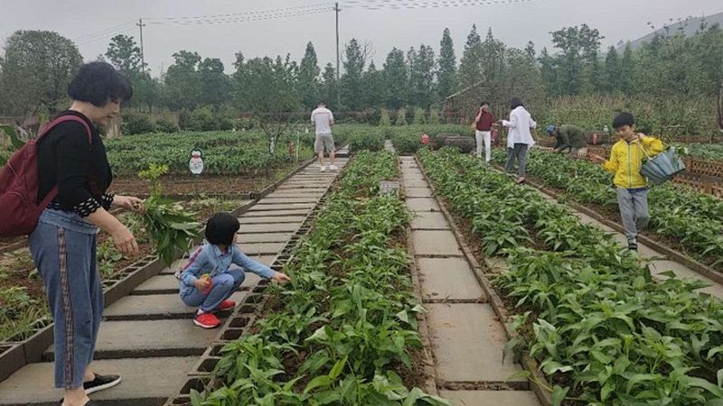生鲜冷链物流解决方案厂家