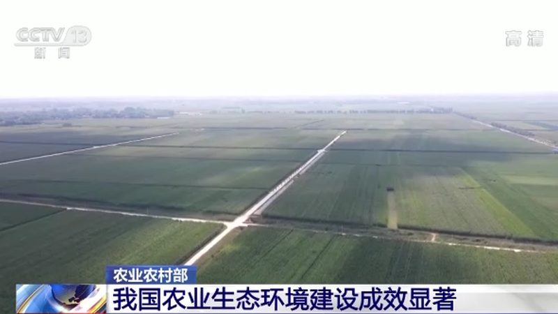 家庭农场土壤生态修复：关键步骤与注意事项**
