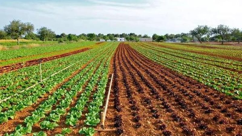设备参数是衡量设备性能和适用性的重要指标。以下是一些关键参数及其意义：