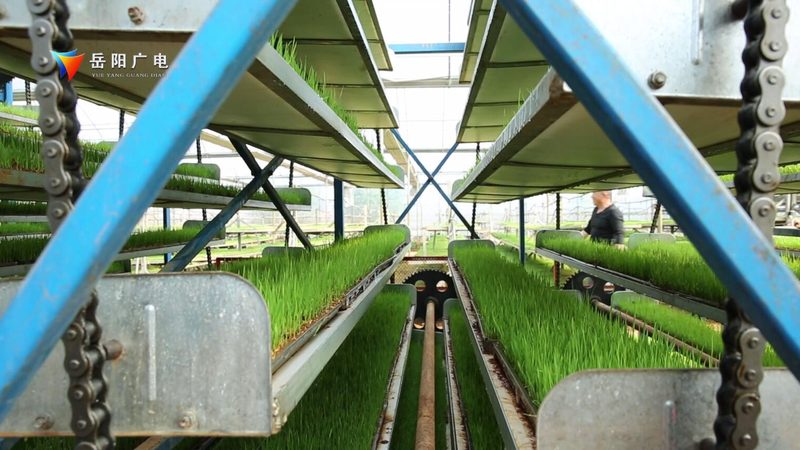 智慧农业种植系统：揭秘其规格型号与选型逻辑