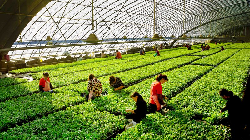农业产业园可行性研究报告：如何科学评估与制定**