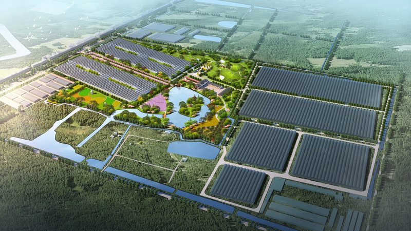 生态种植的家庭农场，其产地环境至关重要。一个优质的生态农场，应该具备以下特点：
