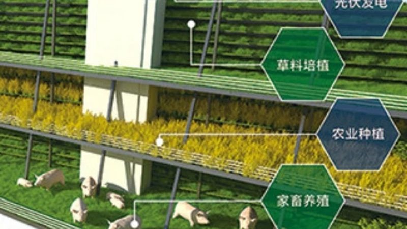 温室大棚加温设备：揭秘其工作原理与选型要点