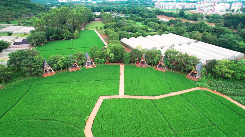 农产品批发供应链管理：规范价格背后的逻辑**