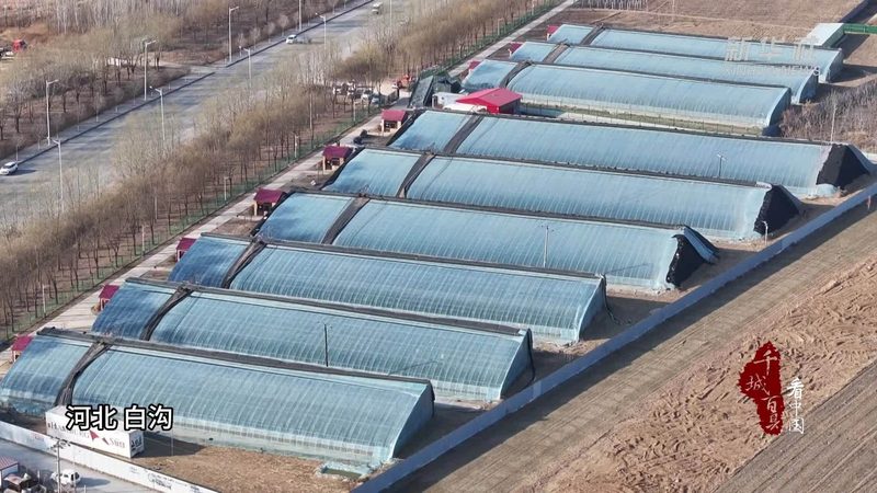 智慧农业种植系统定制方案：打造高效可持续的农田生态