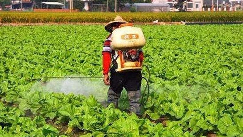 果蔬配送损耗控制：揭秘降低损耗的关键因素