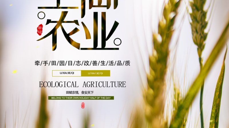 阳台农业种植成本主要包括以下几个方面：