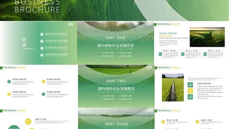现代农业产业链构建的关键环节解析